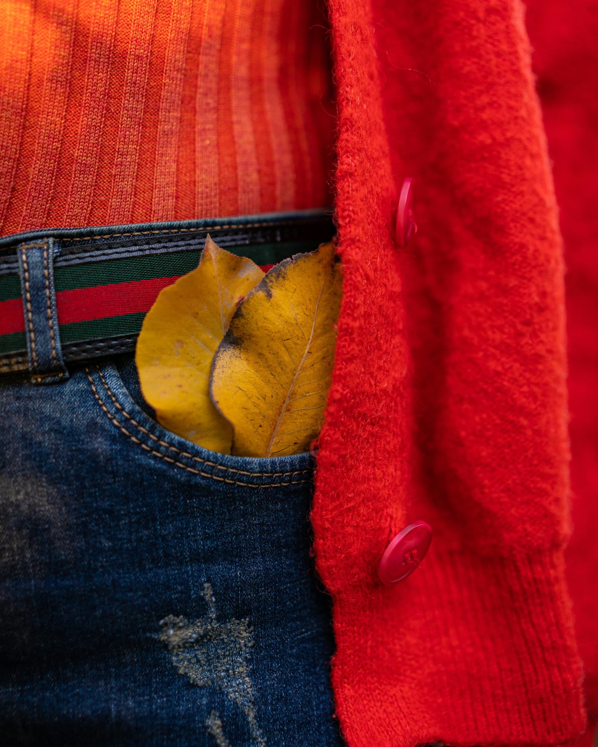 A red cardigan over an orange ribbed top and jeans, with autumn leaves in the pocket