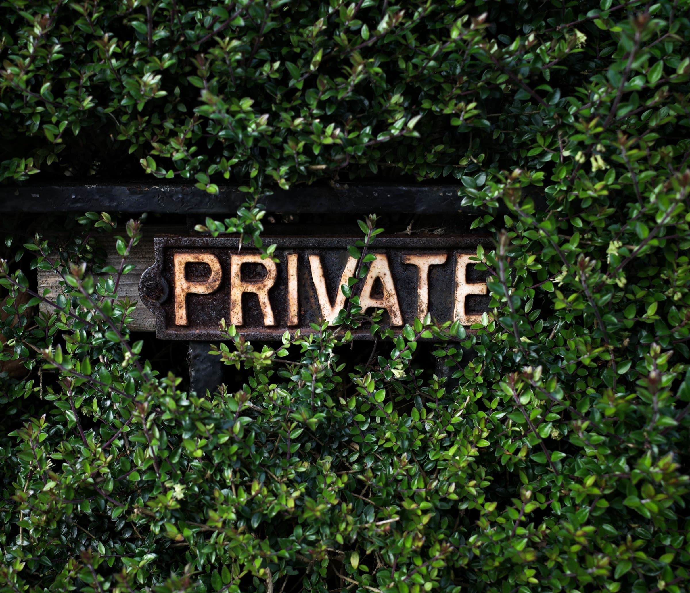 A rusty sign reading "Private" half hidden in a green hedge